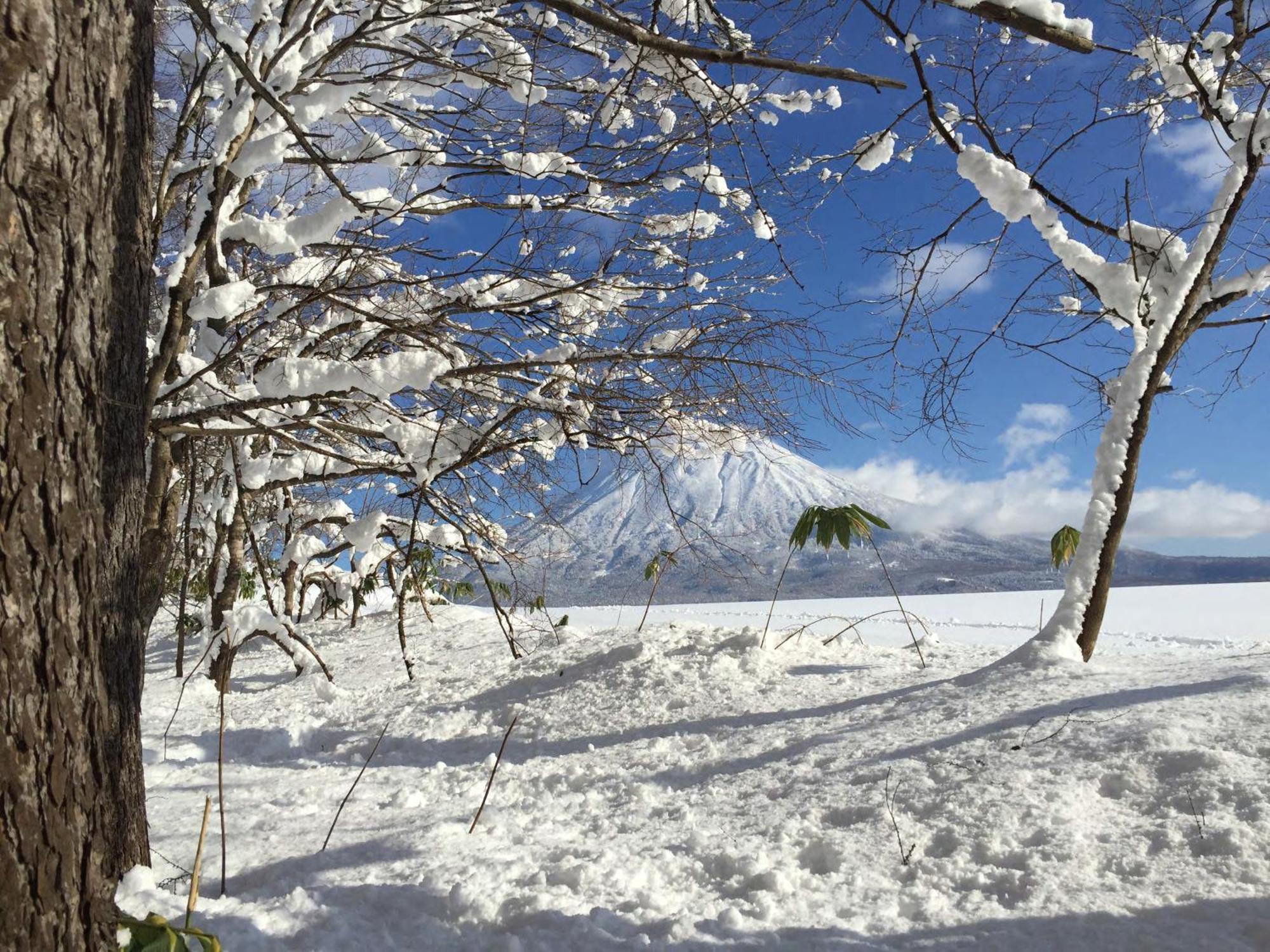 Andaru Collection Niseko Hotel Kucsan Kültér fotó